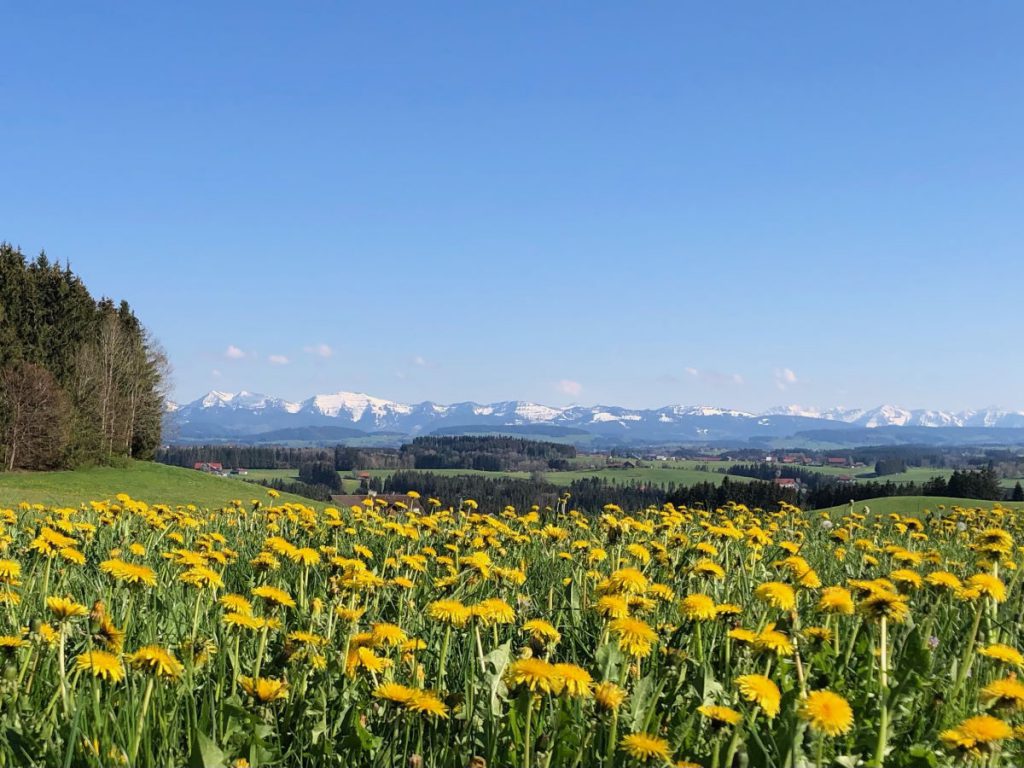 Holiday Yoga Reisen - Allgäu - Alpen bei guter Fernsicht