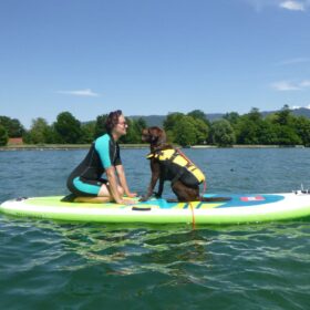 Yoga-Reise-Bodensee-SUP-geht-auch-mit-Hund